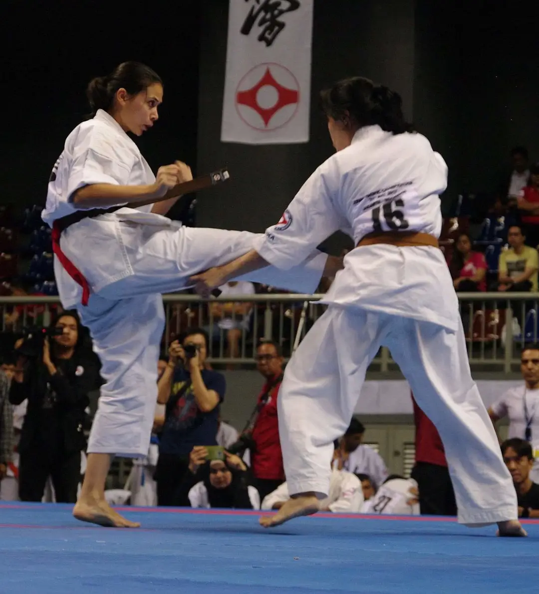 Brighton Kyokushin Karate