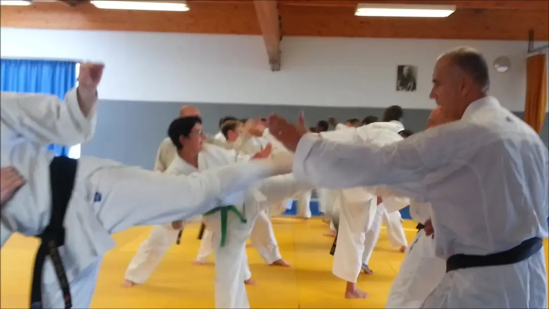 SMOC KARATE