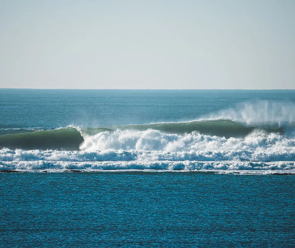 Drop'in Surf Academy