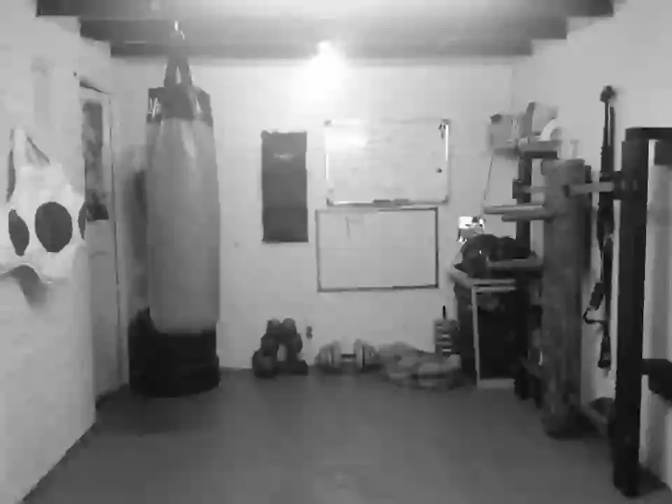 Havant Wing Chun