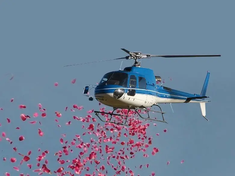 Royal Skytech Aviation Private Limited