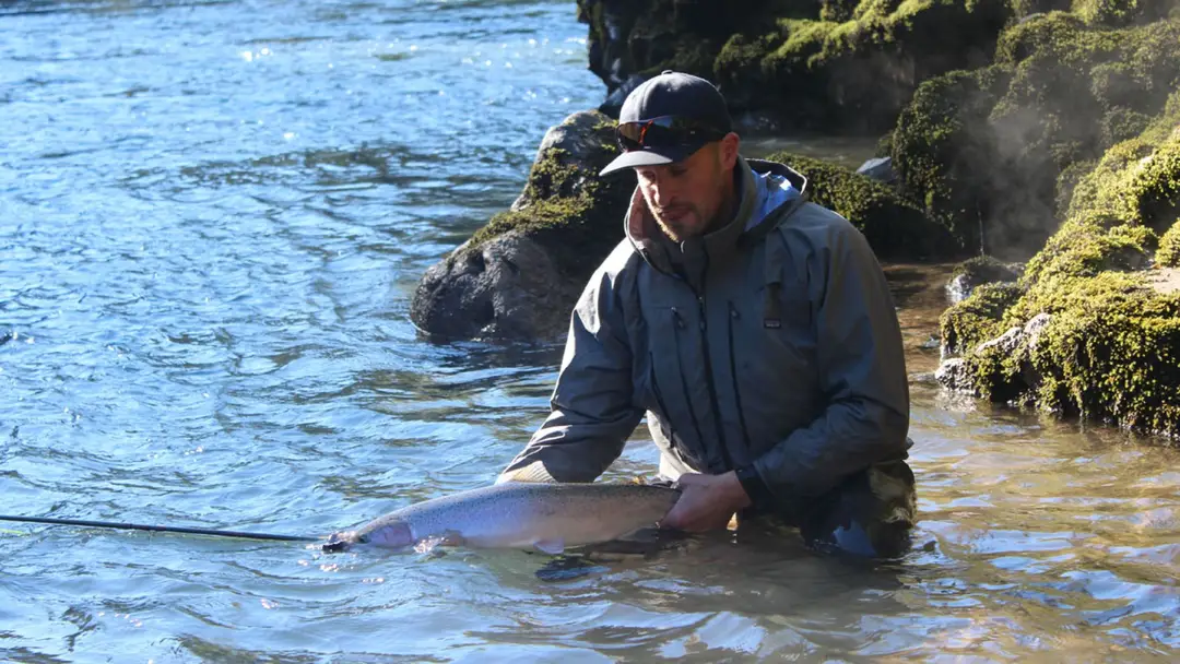 Tofino Fish Guides