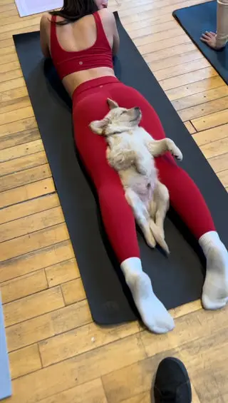 Puppy Yoga