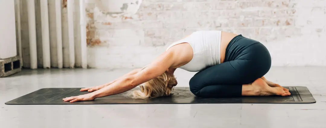 Yoga Monkey Forest Hill