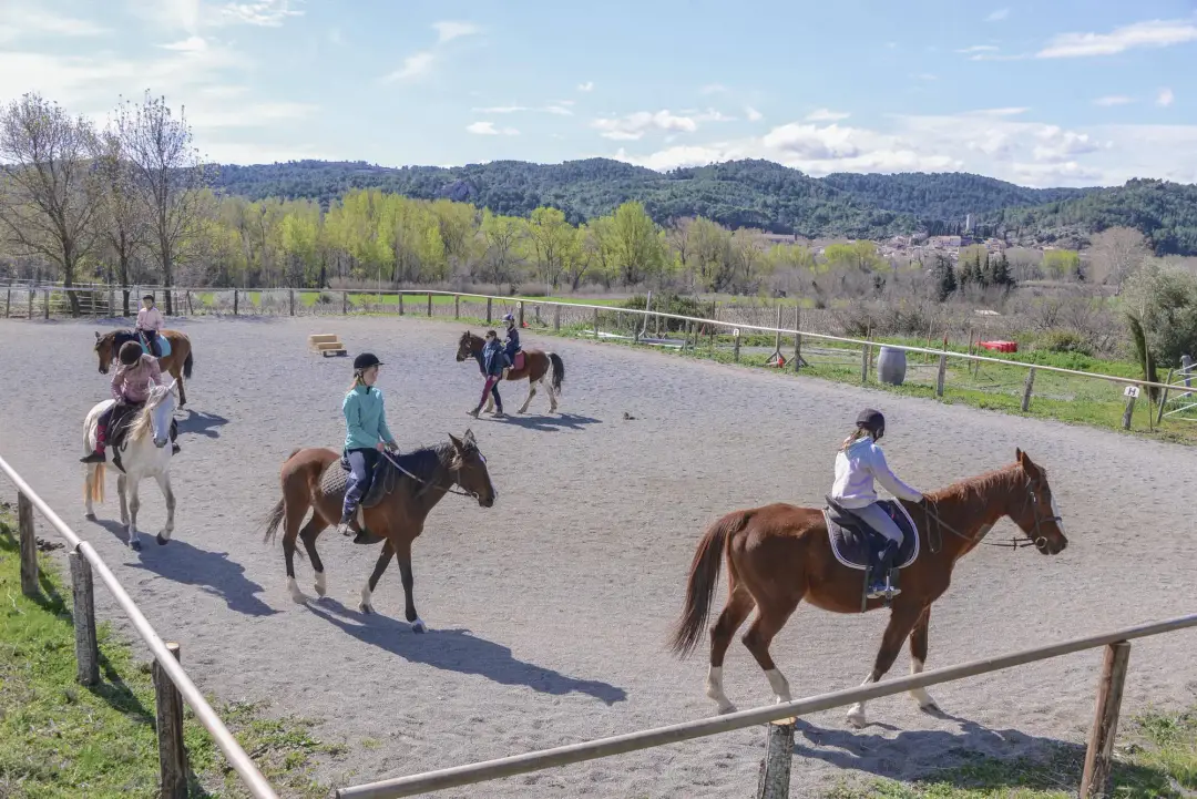 Equestrian Center Domain De L'ane Blanc