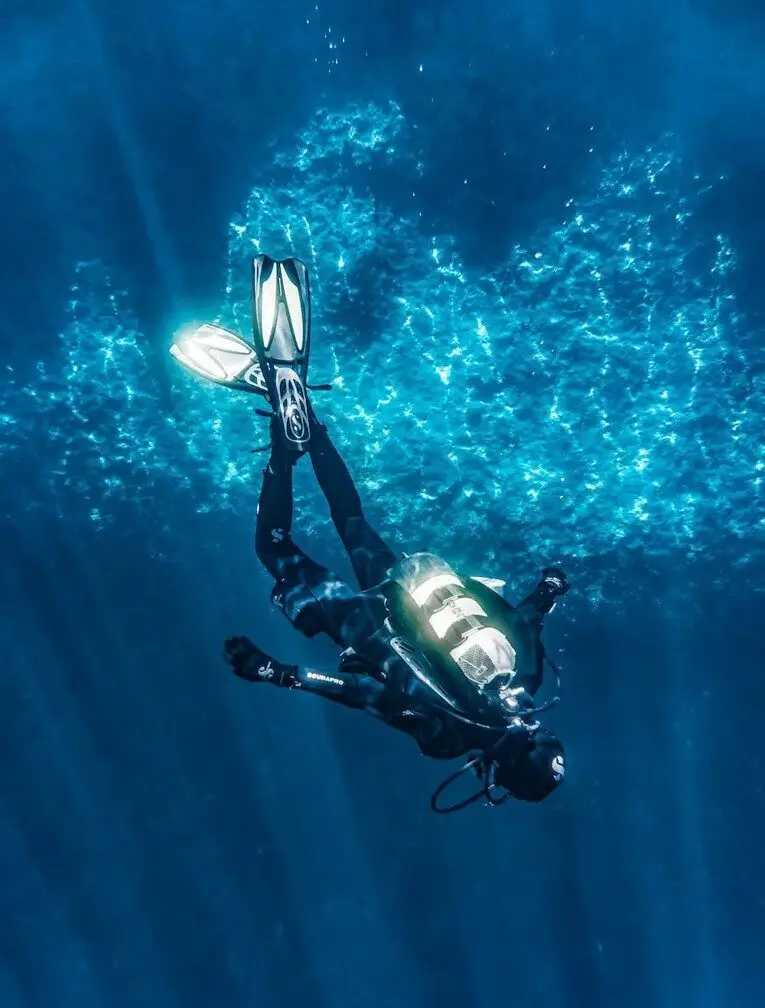 DiveHyve