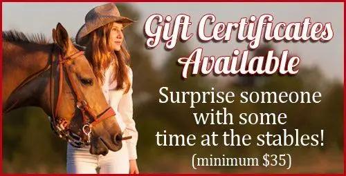 Claddagh Riding Stables