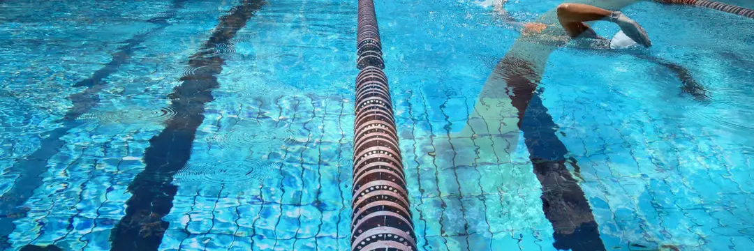 Manly Swimming Club