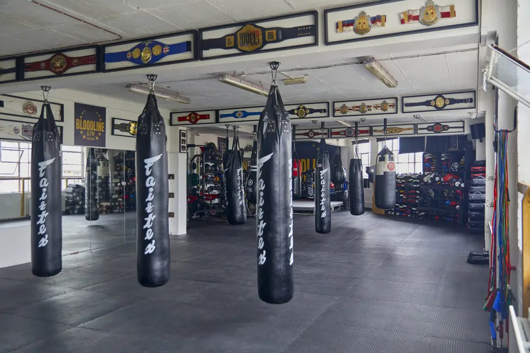 Bloodline Gym