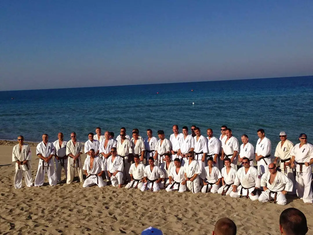 Karate Kyokushin 8 Dan Dojo