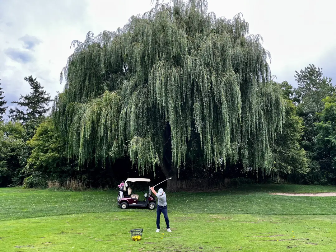 Sonnenburg Golf