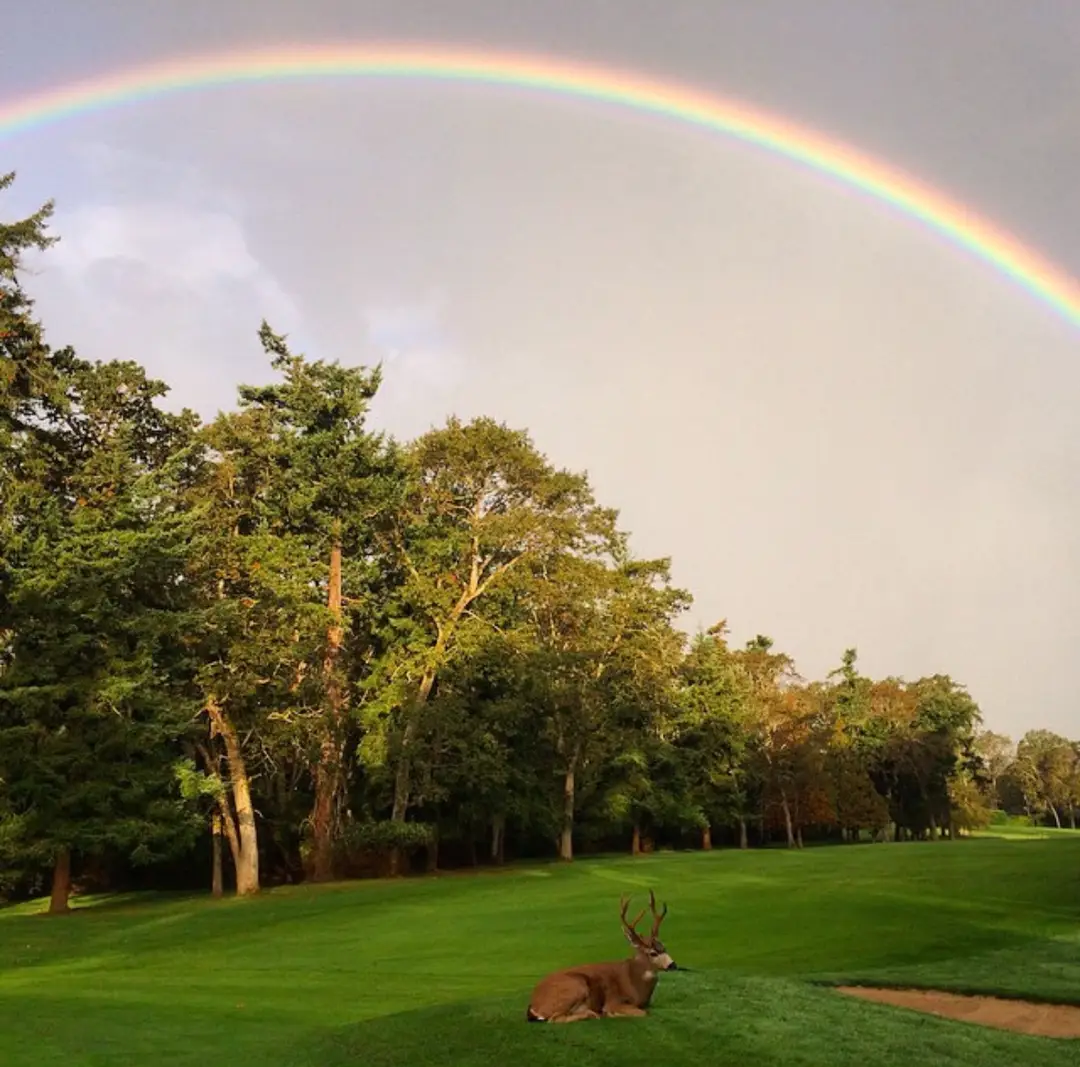 Uplands Golf Club