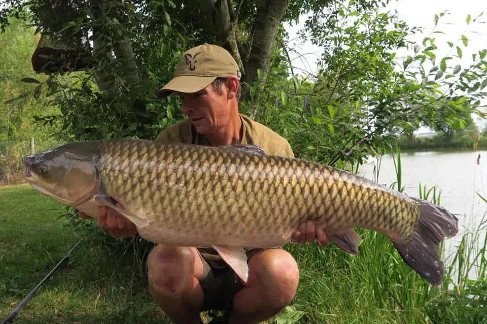 Bearley Lakes