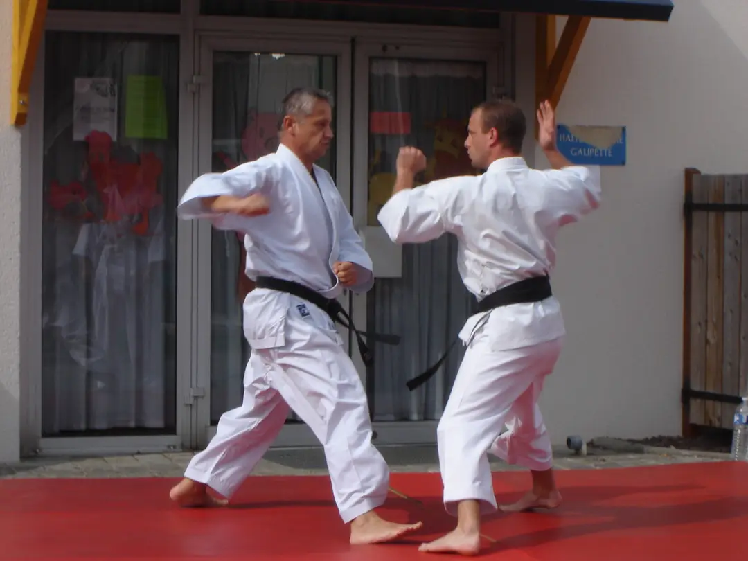 Dojo