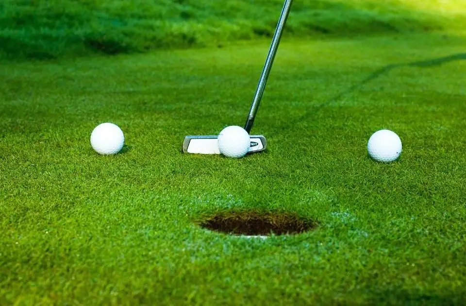 Farnham Park Golf Course & Birdies Coffee House and Bar