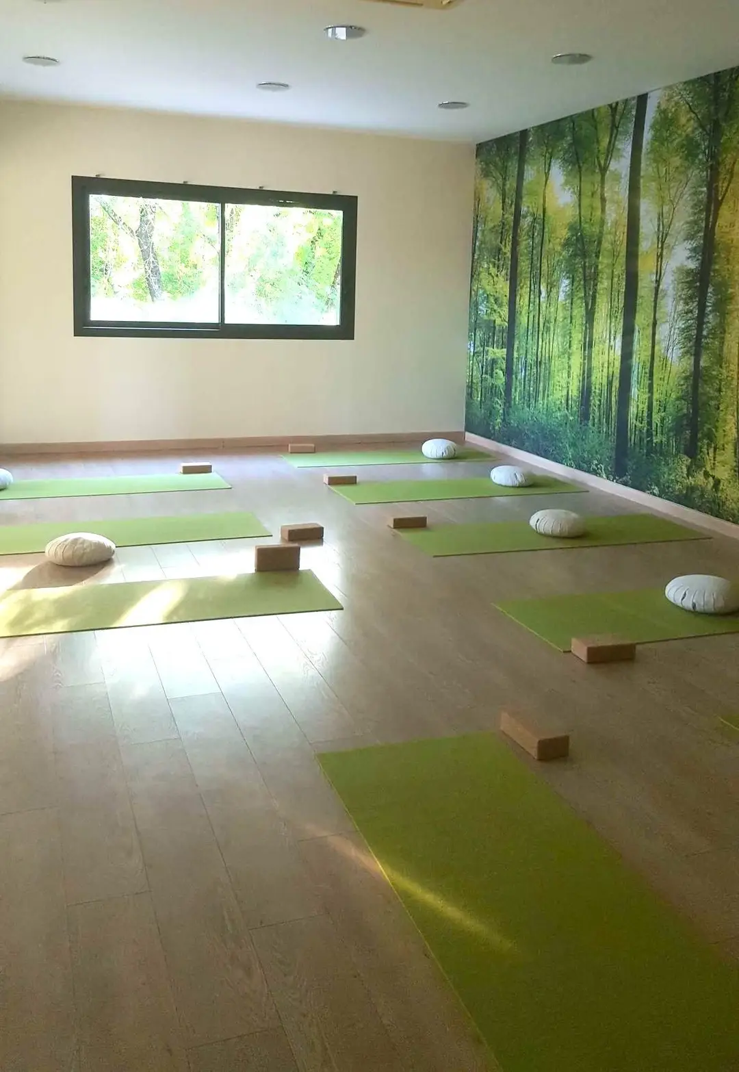 Shanti Yoga Lounge