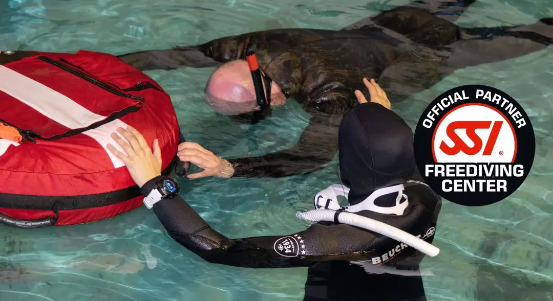 Dive Now