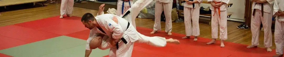 Aiuchi Jiu Jitsu Basingstoke