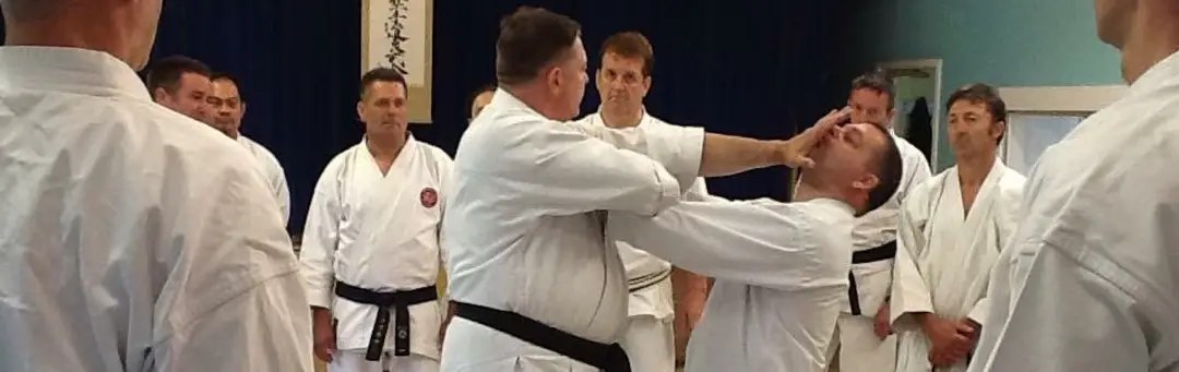 Yamakai Karate