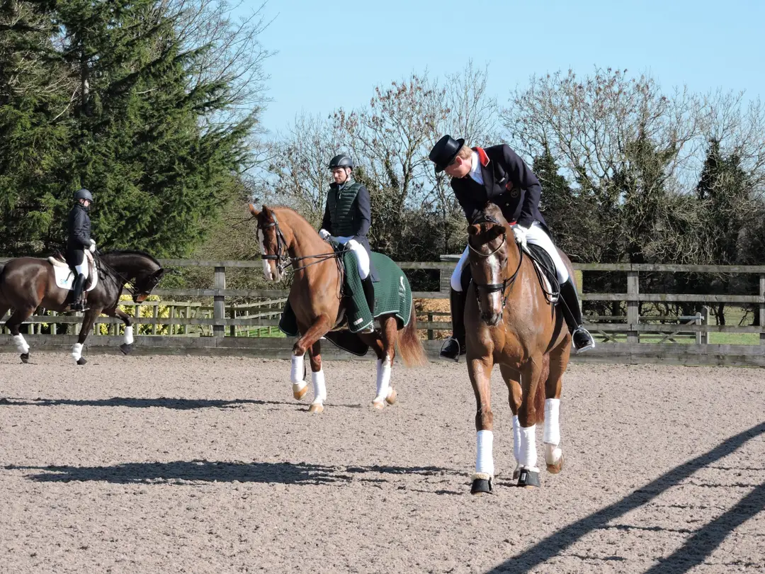 Hunters Equestrian