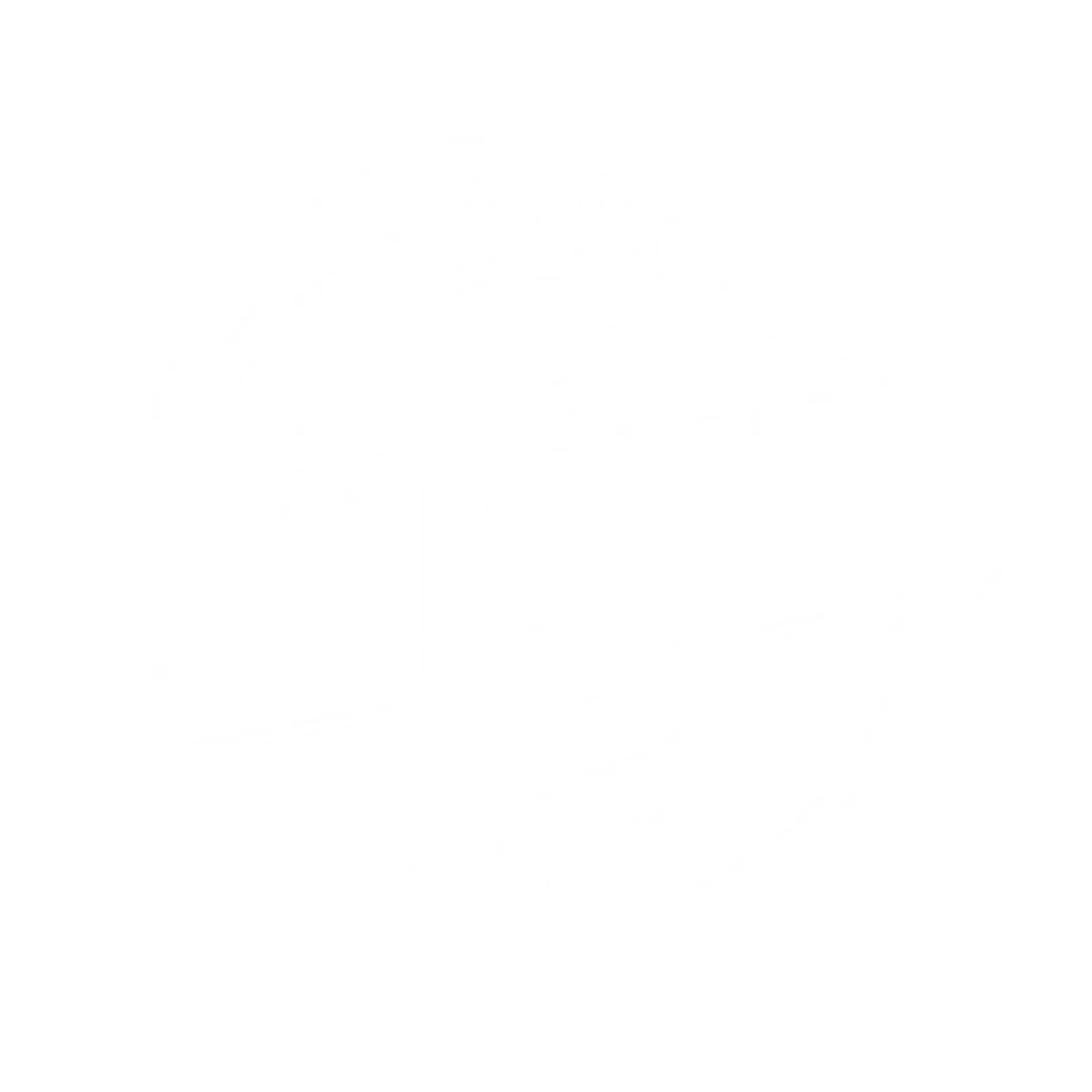 Futbalová škola Juventus