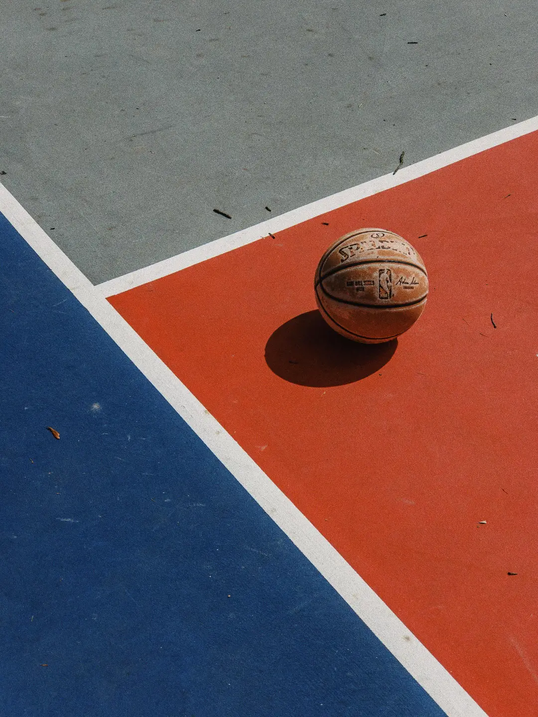 Union Seyssinet Noyarey Veurey Basket