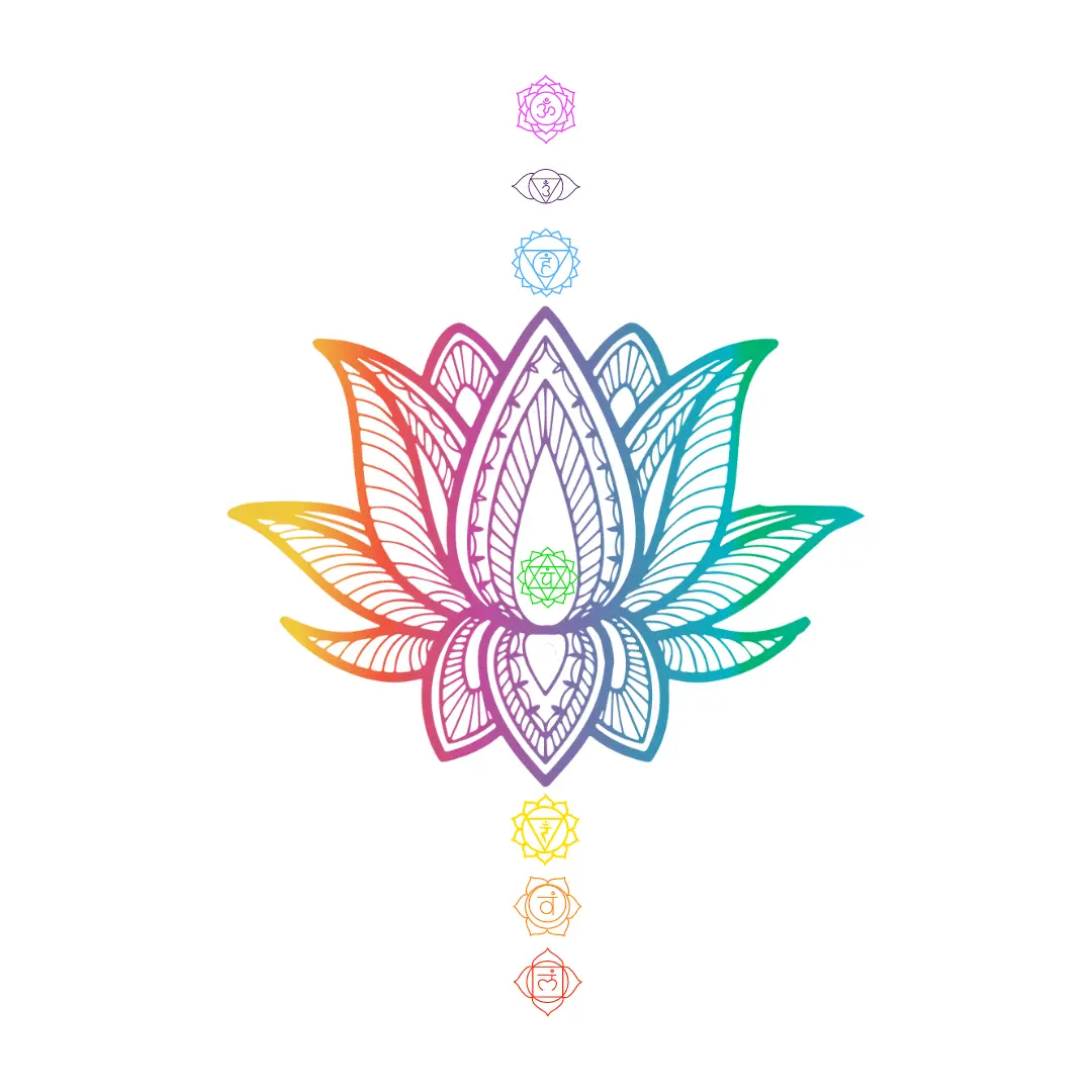 Mind & Body Wellbeing Ltd