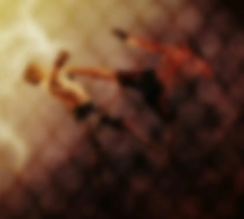 Pro Action MMA Gym of Guru Hemang