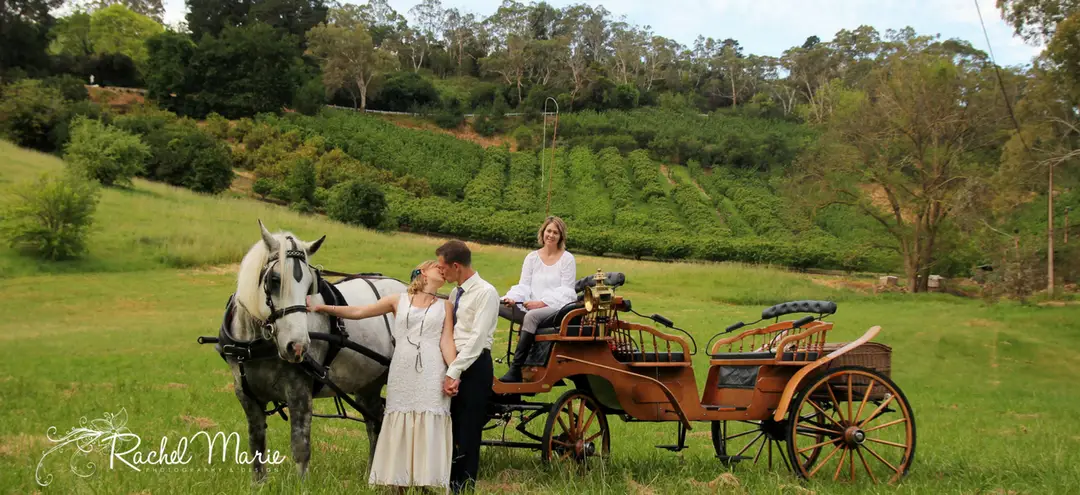 Classic Carriage Drives