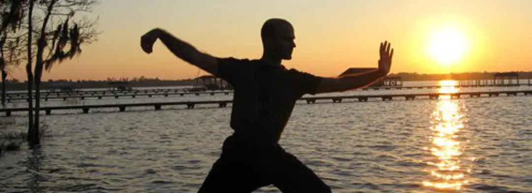 White Crane Tai Chi
