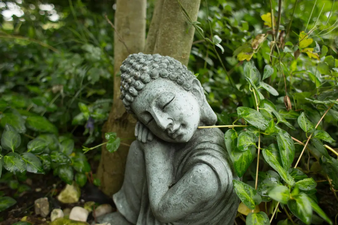 The Yoga Garden
