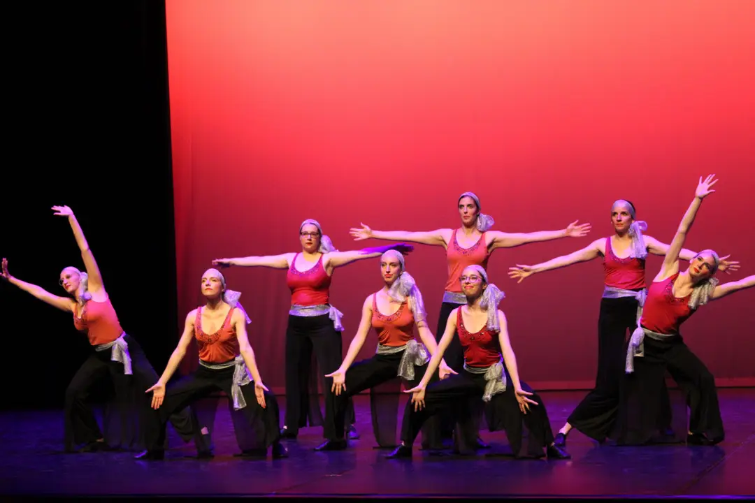 Danses Plurielles