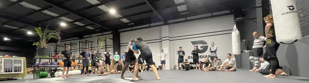 Guardians Gym