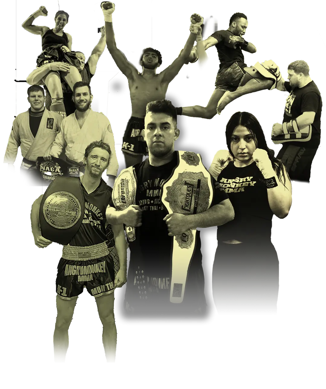 Angry Monkey MMA