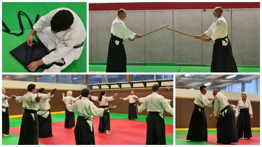 Cs Doua Aikido