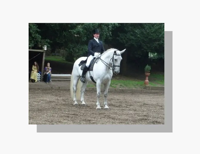 Ingestre Stables
