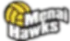 Menai Hawks Netball Club
