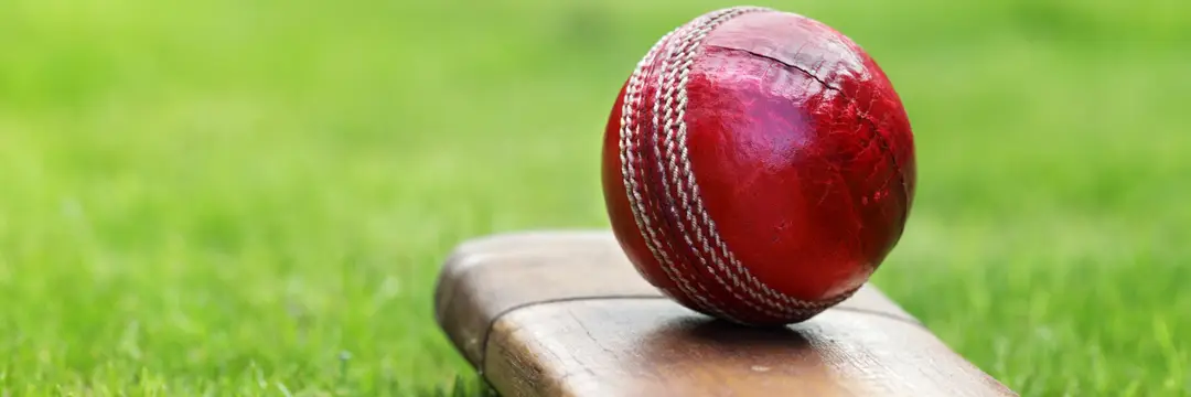 Leichhardt Wanderers Cricket Club