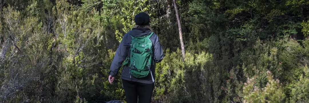 Warringah Bushwalking Club