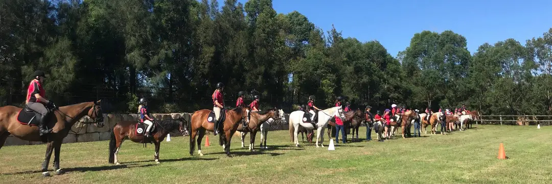 Arcadia Pony Club