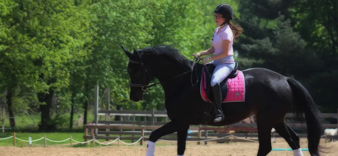 PRINCESS STABLE