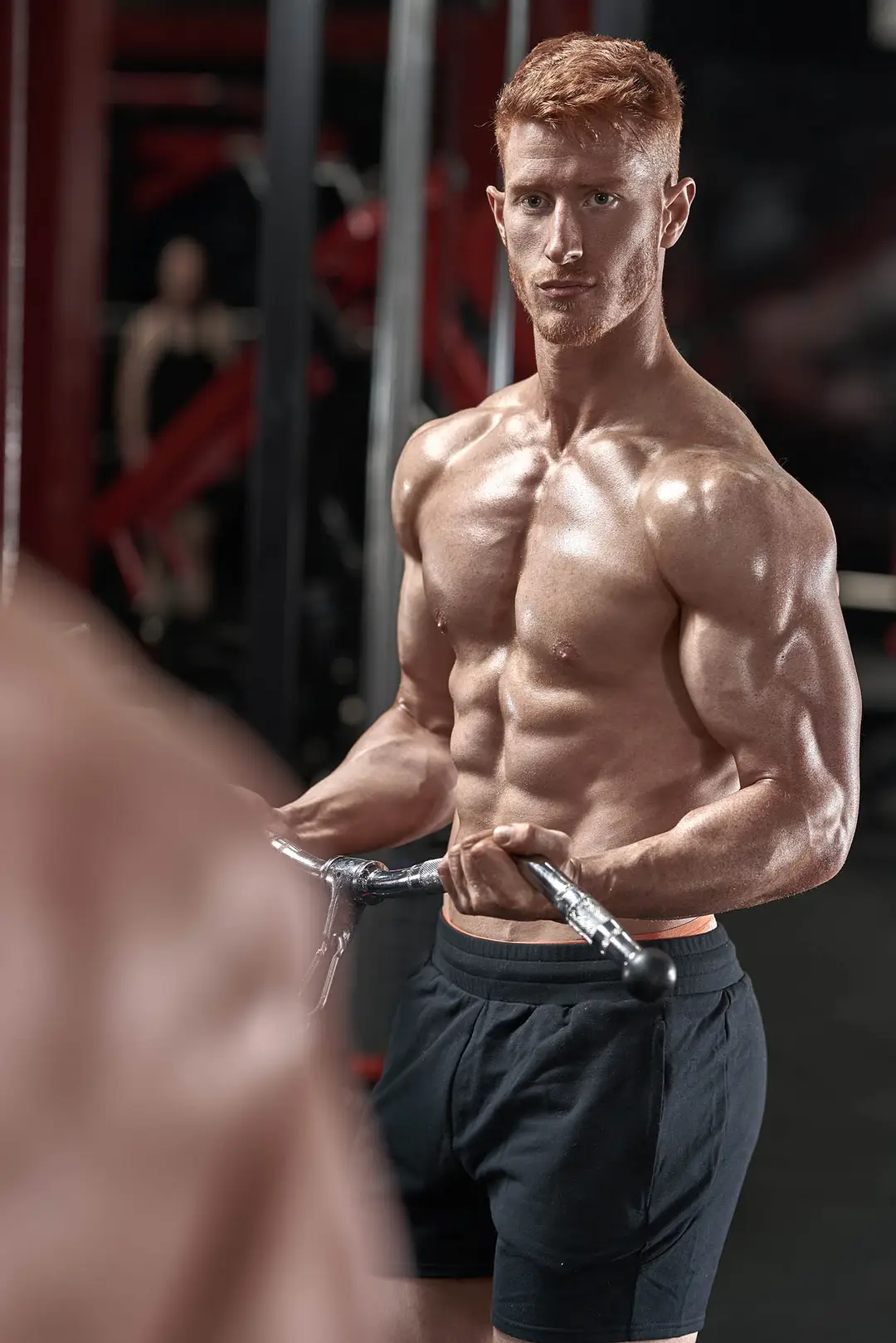 Andrew Stewart Fitness