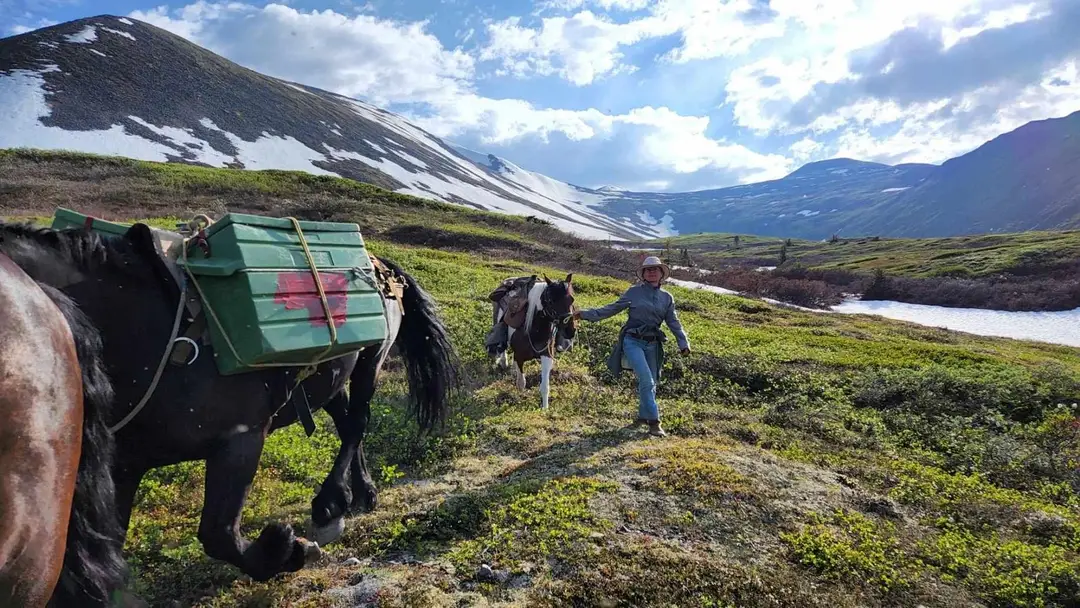 Caribou Wild Mountain Tours