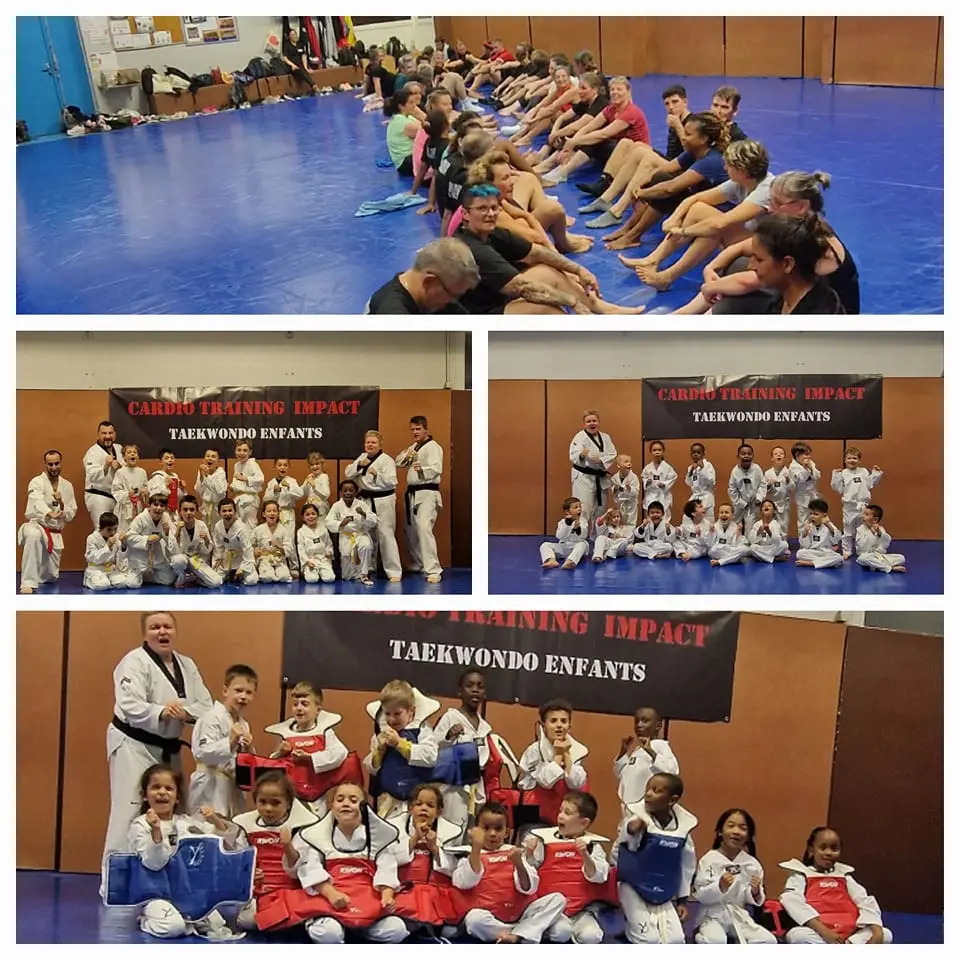 Cardio Training Impact And Taekwondo 95 Herblay