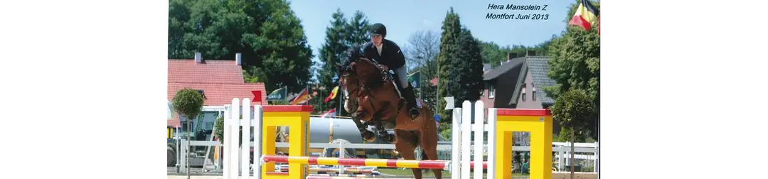 Haras Mansolein