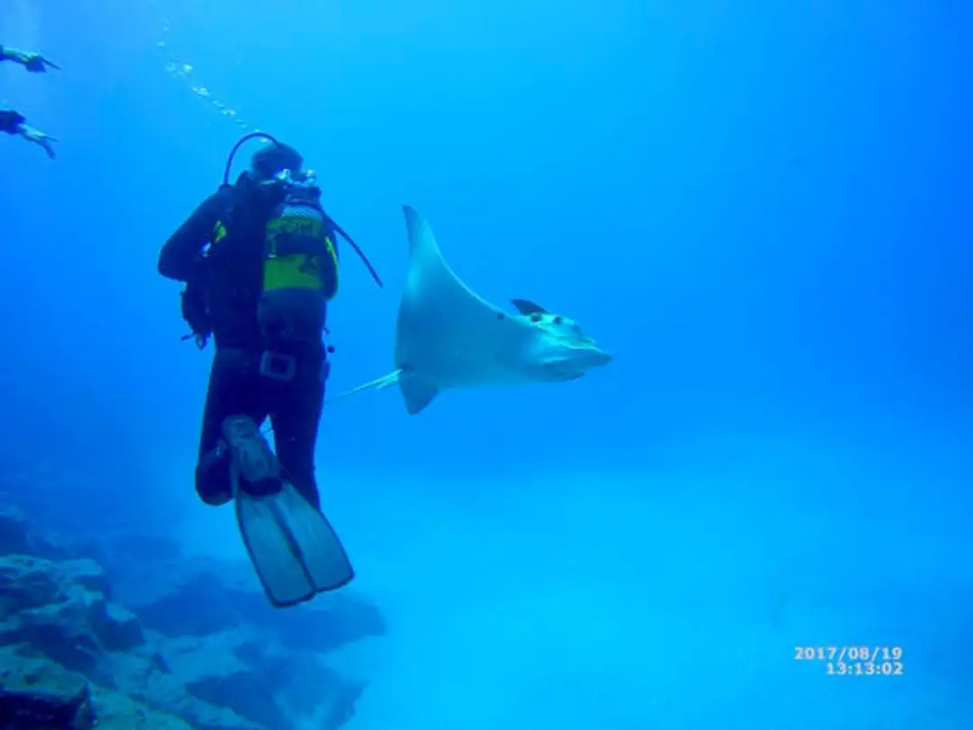 Just Apeks - 4th Element Diving