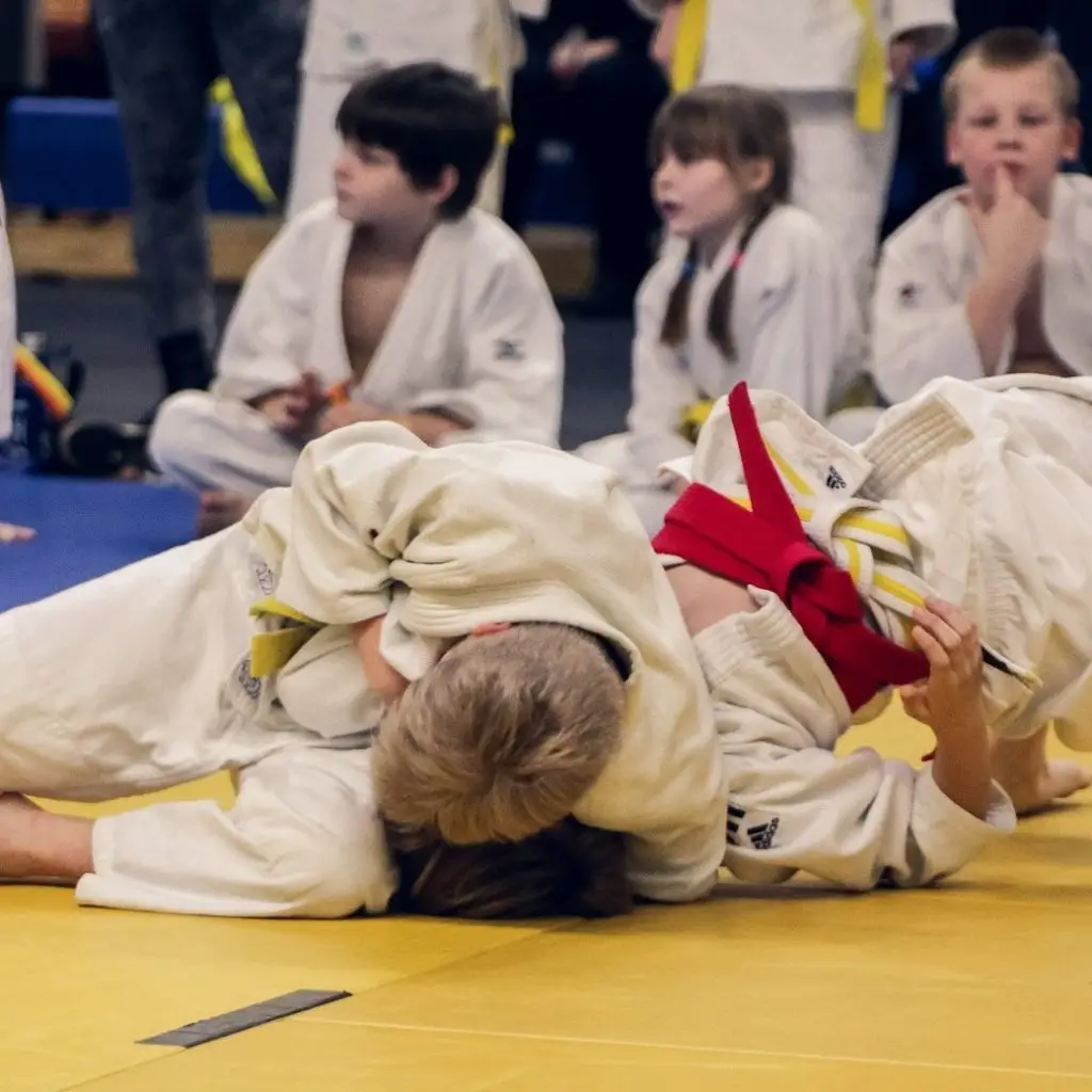 Dojo Antipolis Valbonne (Club de judo)