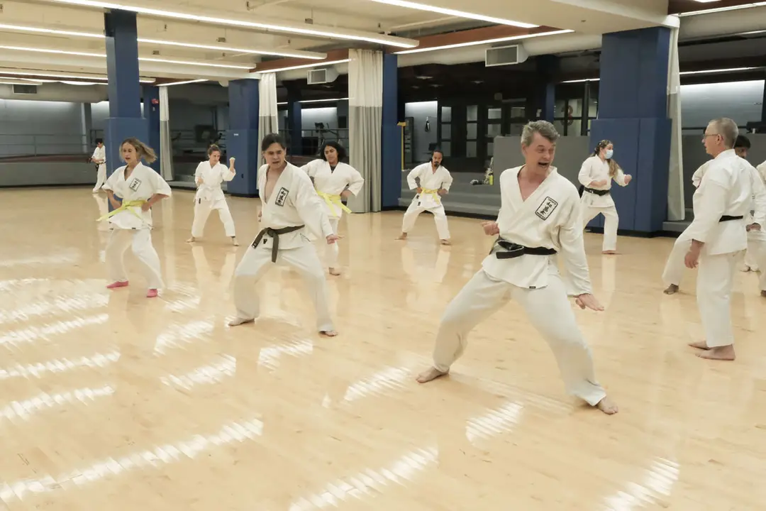 Seikikai Martial Arts
