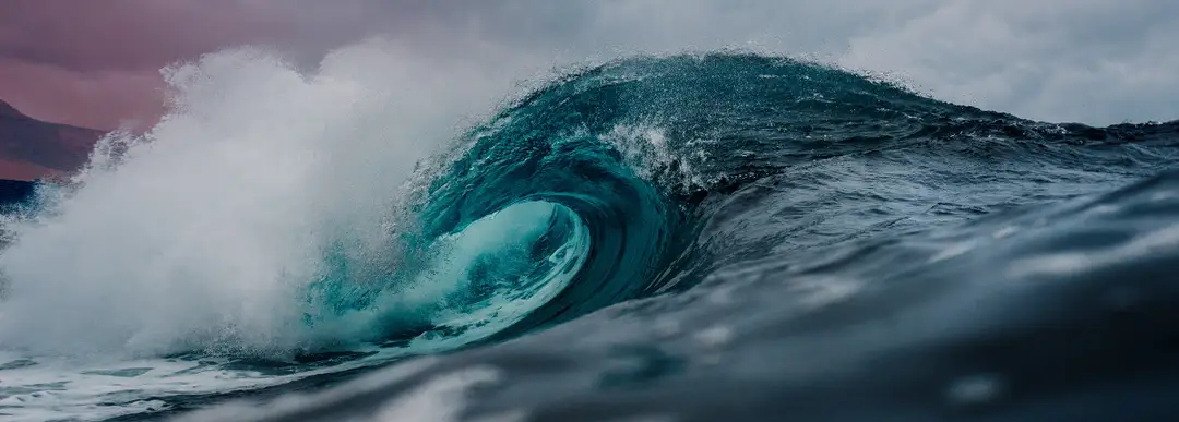 Australian Professional Ocean Lifeguard Association