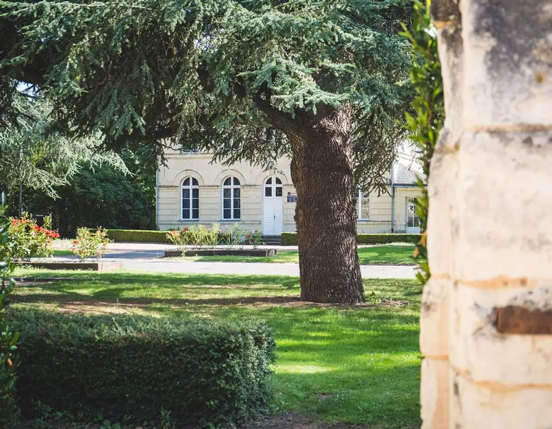 Domaine de Roiffé